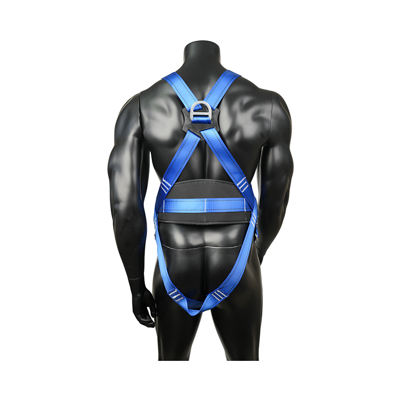 مهار ایمنی سفارشی